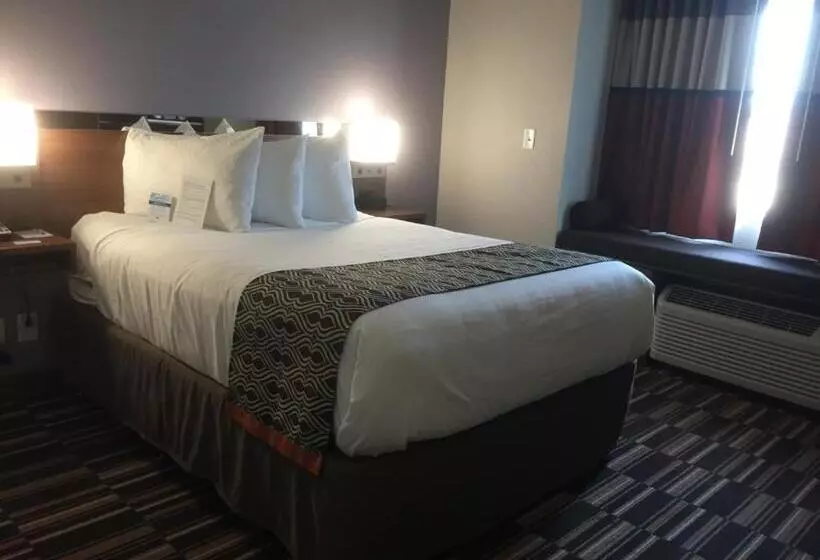 身障者適用スタンダードルーム, Microtel Inn & Suites By Wyndham Sweetwater