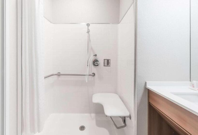 Номер Стандарт Адаптированный для Инвалидов, Microtel Inn & Suites By Wyndham Sweetwater