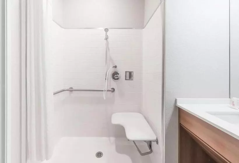 身障者適用スタンダードルーム, Microtel Inn & Suites By Wyndham Sweetwater