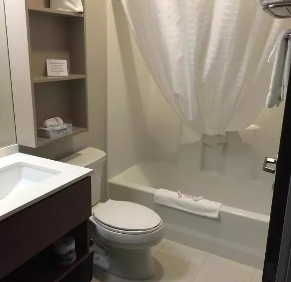 キングサイズベッドのデラックススイート, Microtel Inn & Suites By Wyndham Sweetwater