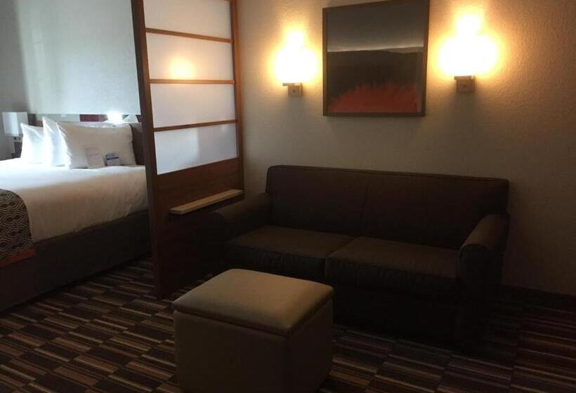 豪华套房, Microtel Inn & Suites By Wyndham Sweetwater