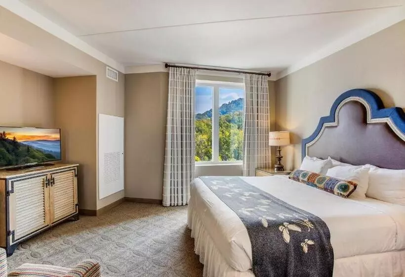 スイート（家族用）, Dollywood's Dreammore Resort And Spa