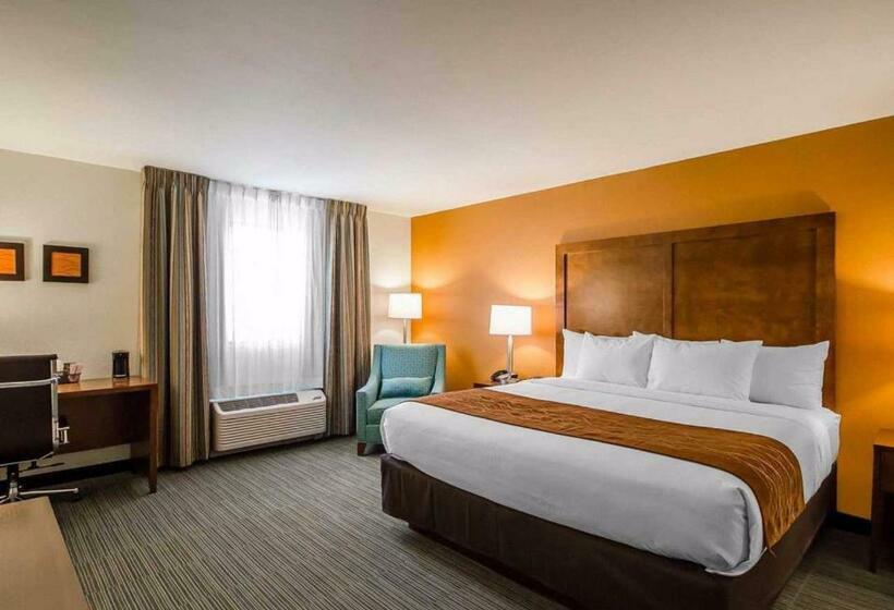 带大床的标准间, Comfort Inn