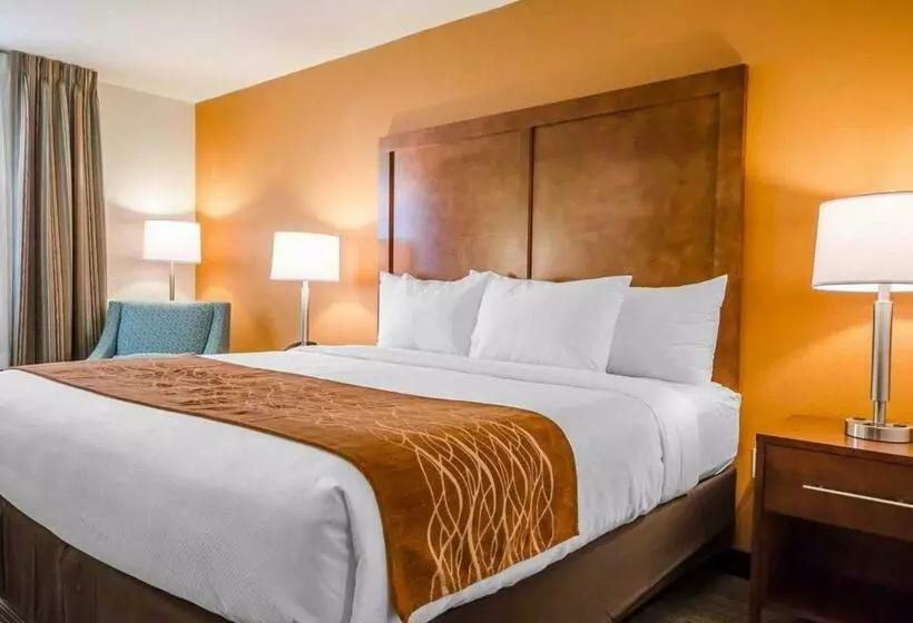キングサイズベッドのスタンダードルーム, Comfort Inn