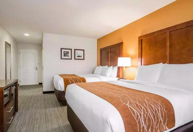スタンダードルーム, Comfort Inn