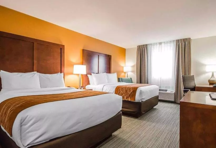 スタンダードルーム, Comfort Inn