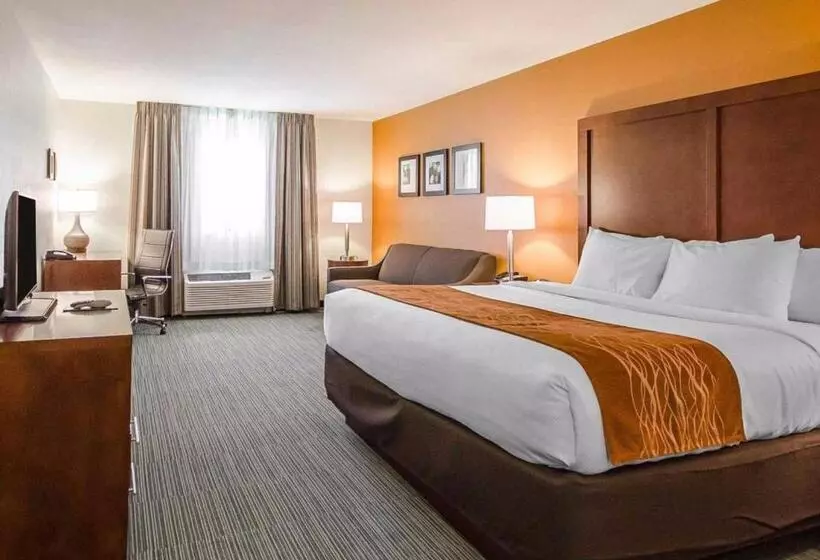 身障者適用キングサイズベッドルーム, Comfort Inn