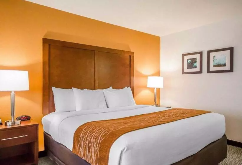 身障者適用キングサイズベッドルーム, Comfort Inn