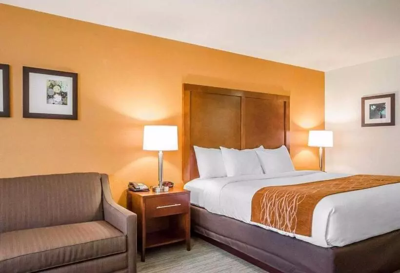 身障者適用キングサイズベッドルーム, Comfort Inn