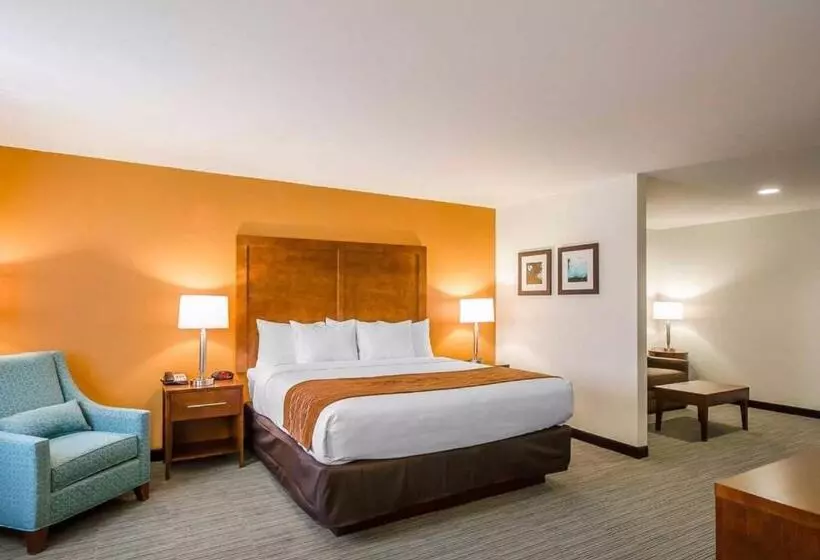 身障者適用スイートルーム, Comfort Inn