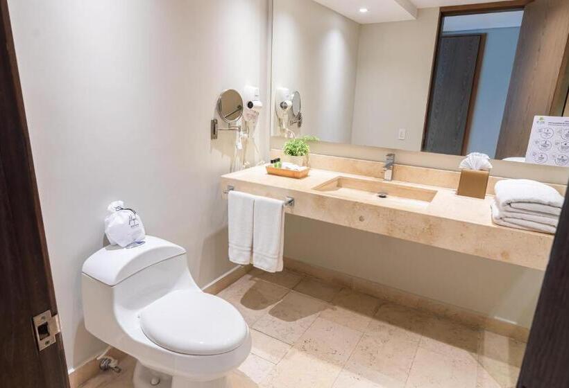 带大床的高级房间, Ghl San Lazaro Art