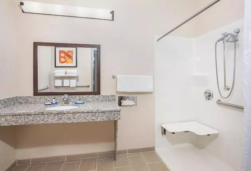 身障者適用キングサイズベッドルーム, Holiday Inn Express Hotel & Suites Glasgow, An Ihg