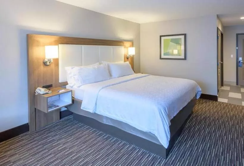 身障者適用キングサイズベッドルーム, Holiday Inn Express & Suites Jamestown, An Ihg