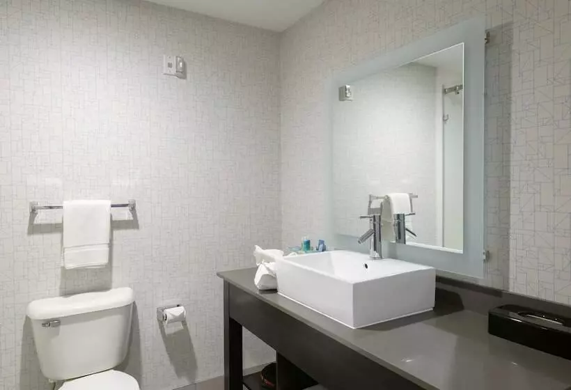 スタンダードルーム, Holiday Inn Express & Suites Jamestown, An Ihg