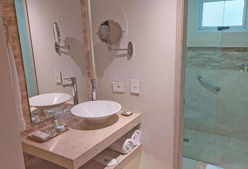 Номер Стандарт, Washington Plaza