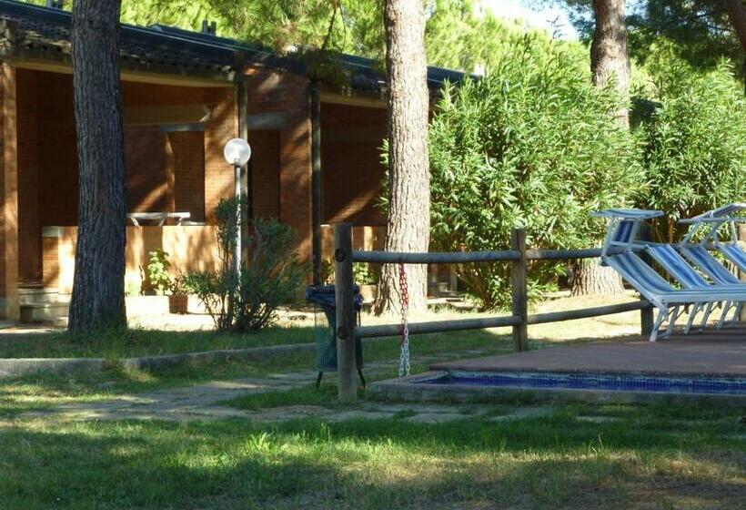آپارتمان سوپریور 1 خوابه, Baia Etrusca Resort