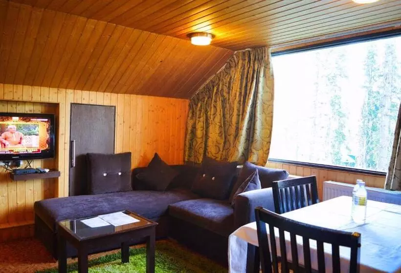 Standard-huone Vuoristonäkymä, Pine Spring Resort Gulmarg