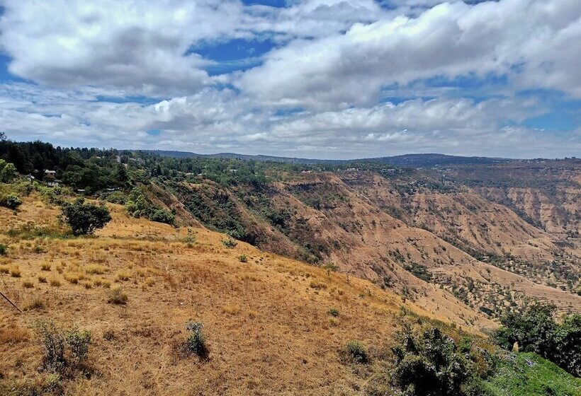 Номер Стандарт, Ravine