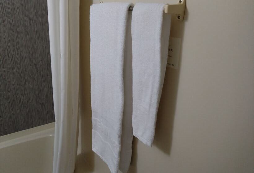 스탠다드 싱글 룸, Route Inn Hitachitaga