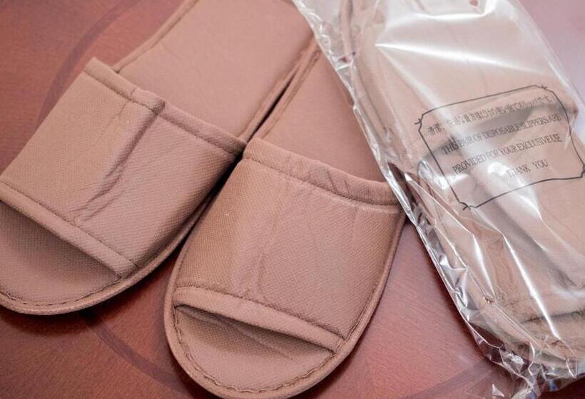 Номер Economy, Route Inn Odate Ekiminami