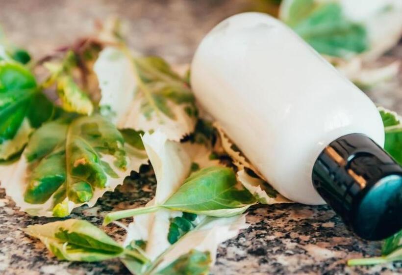 חדר סטנדרט נוף לאגם, Rhythm Kumarakom