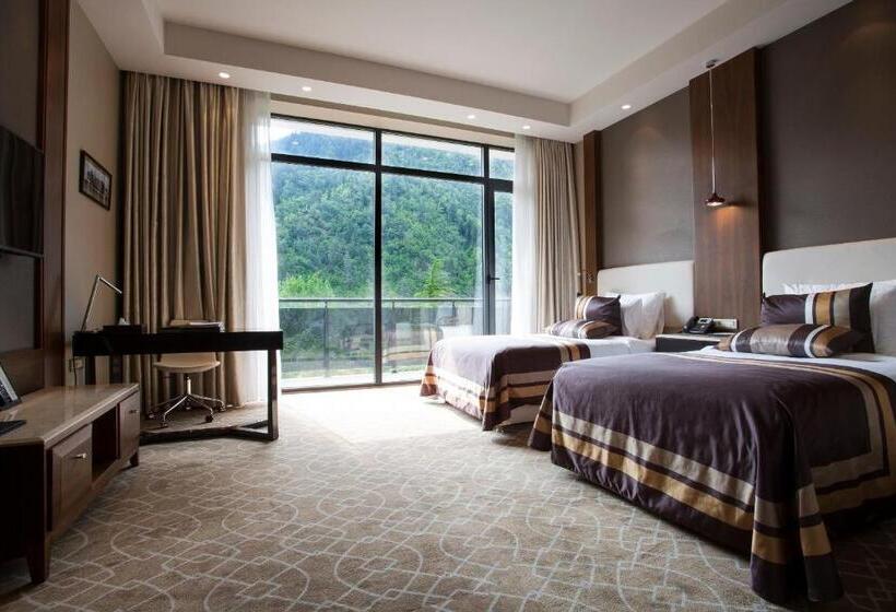اتاق لوکس, Borjomi Likani Health & Spa Centre