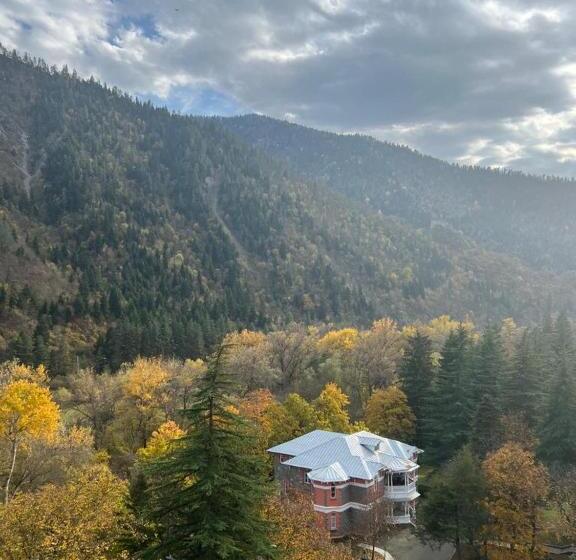 اتاق لوکس با تخت بزرگ, Borjomi Likani Health & Spa Centre