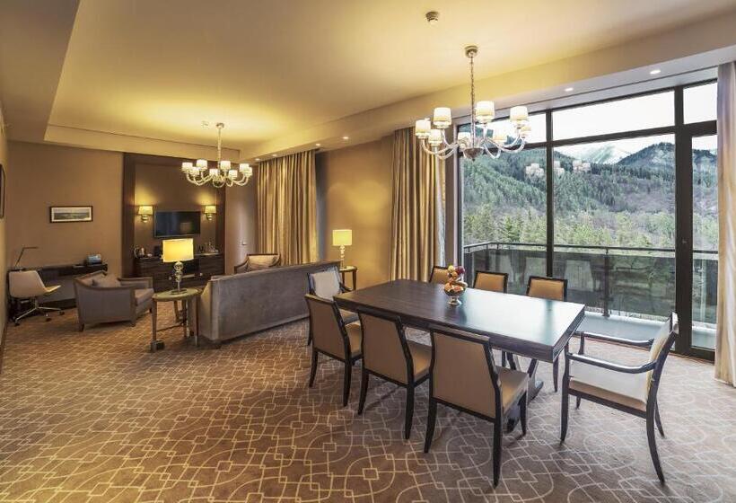 سوییت اجرایی, Borjomi Likani Health & Spa Centre