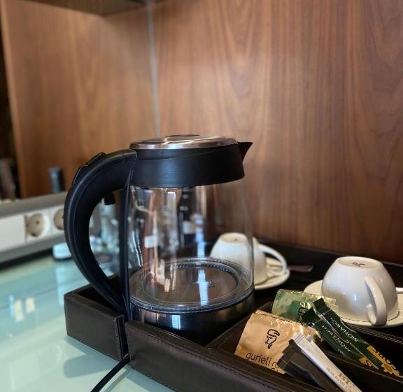 اتاق اکونومی, Borjomi Likani Health & Spa Centre