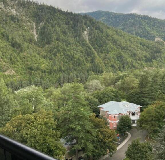 اتاق لوکس با تخت بزرگ, Borjomi Likani Health & Spa Centre