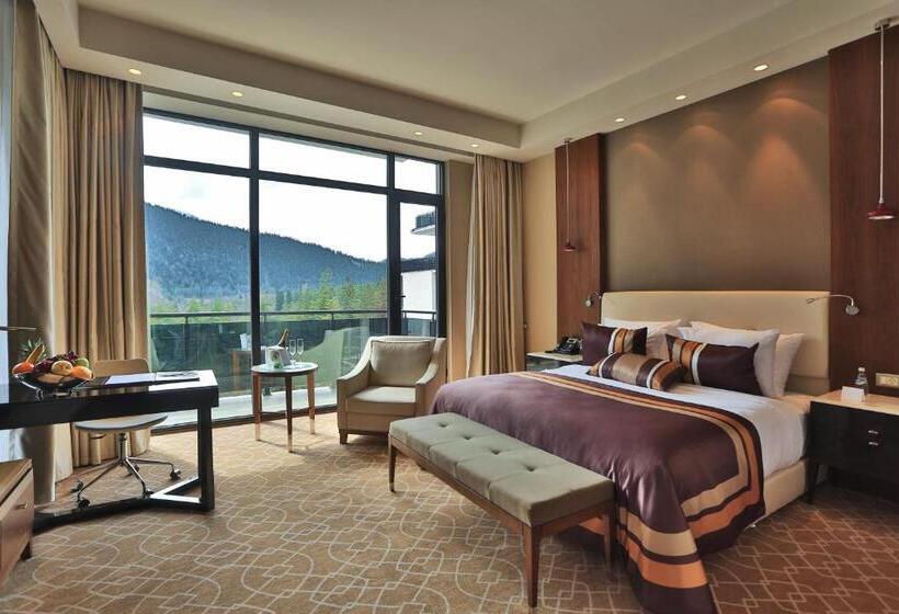 اتاق استاندارد برای معلولان, Borjomi Likani Health & Spa Centre