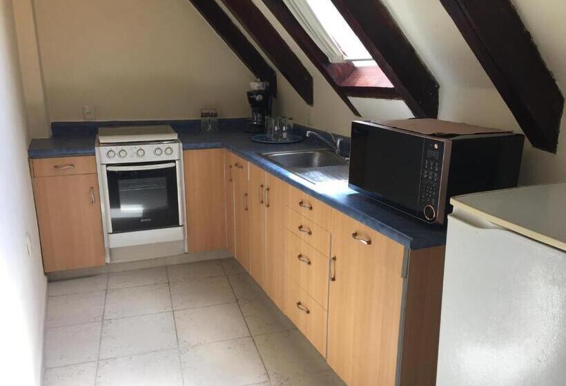 1침실 펜트하우스 아파트, La Joya