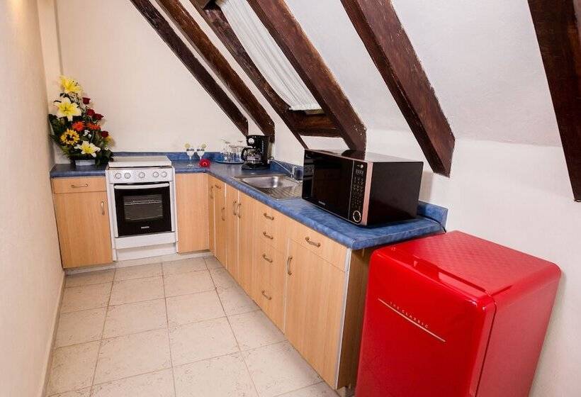 1침실 펜트하우스 아파트, La Joya