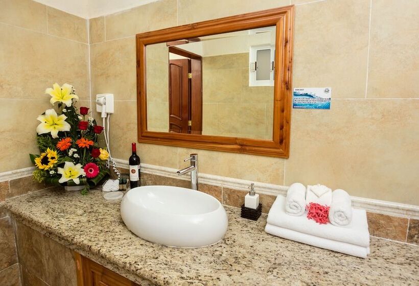 공동 객실, La Joya