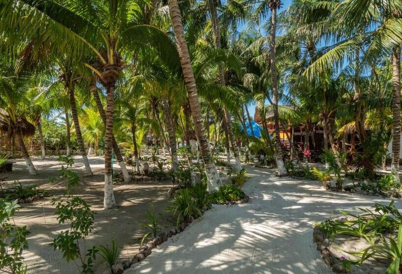 스위트, Zomay Beachfront Holbox