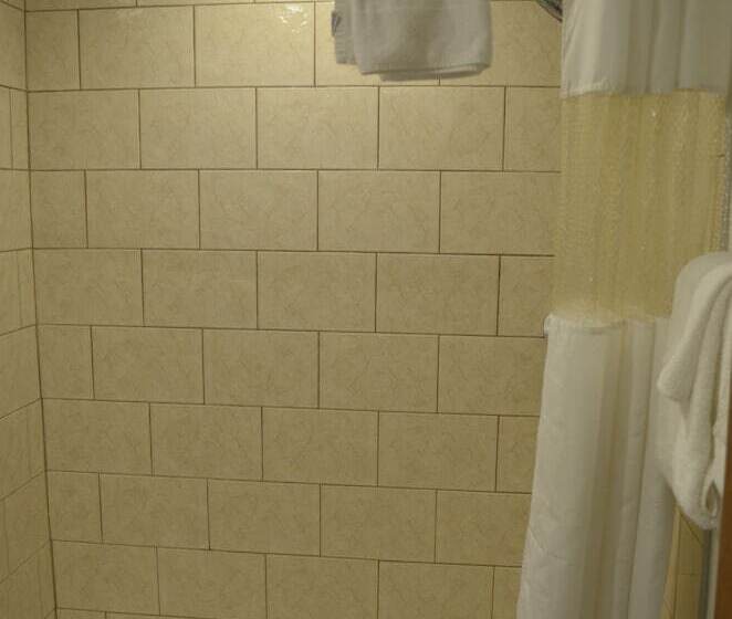 غرفه قياسيه سريرين مزدوجين, Budget Inn Williamsville