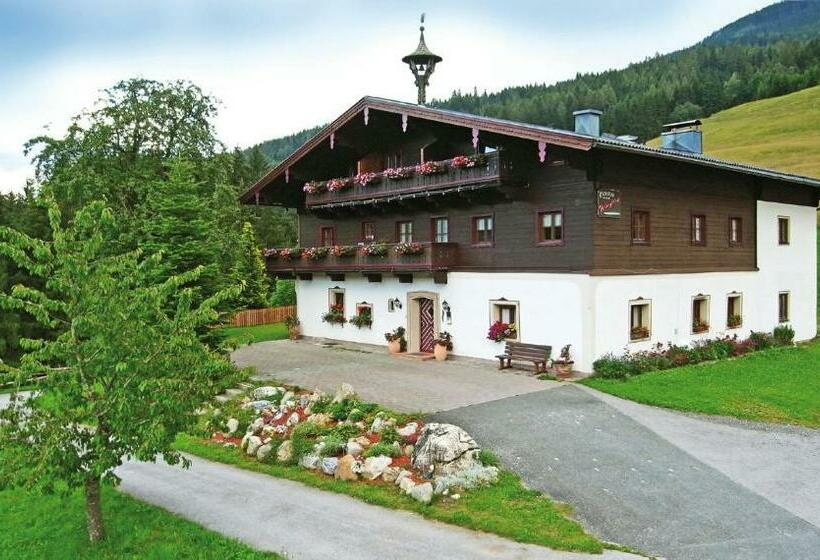 스탠다드 싱글 룸, Pension Wiesfleck