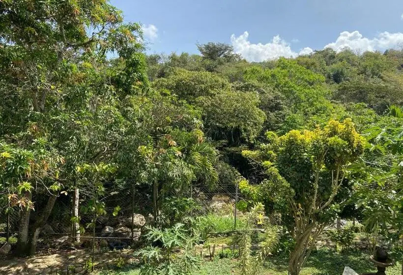 ガーデンビューファミリールーム, Campestre Davilejas