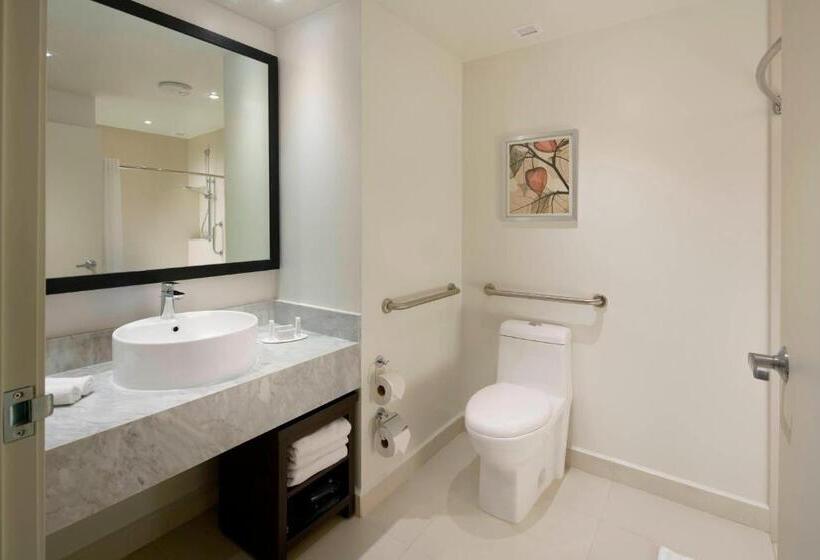 带大床的标准间, Fairfield Inn & Suites By Marriott Villahermosa Tabasco