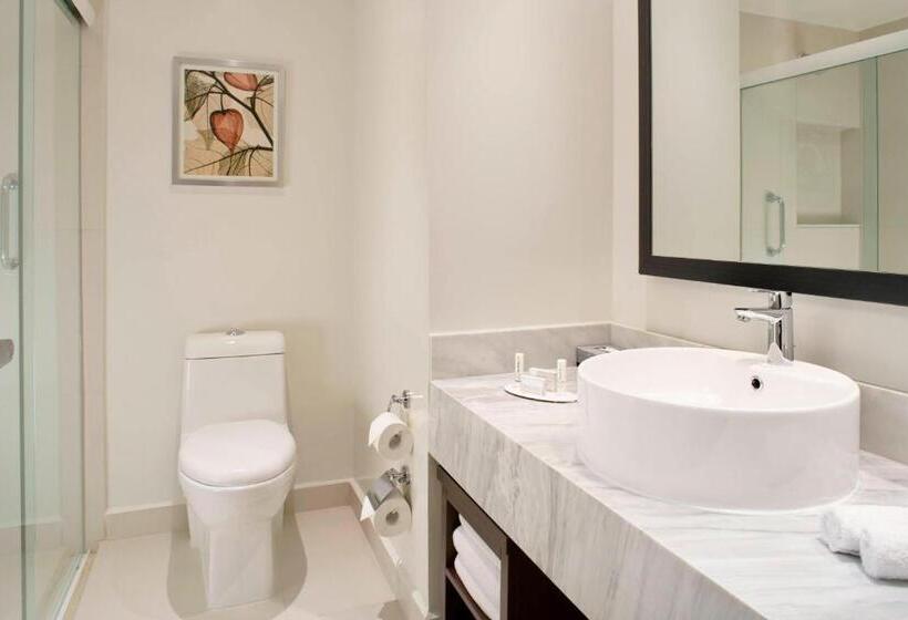 带城市景观的标准工作室, Fairfield Inn & Suites By Marriott Villahermosa Tabasco