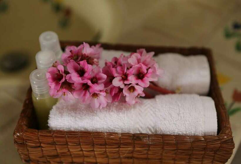 اتاق استاندارد چهار تخته, Las Caballerizas