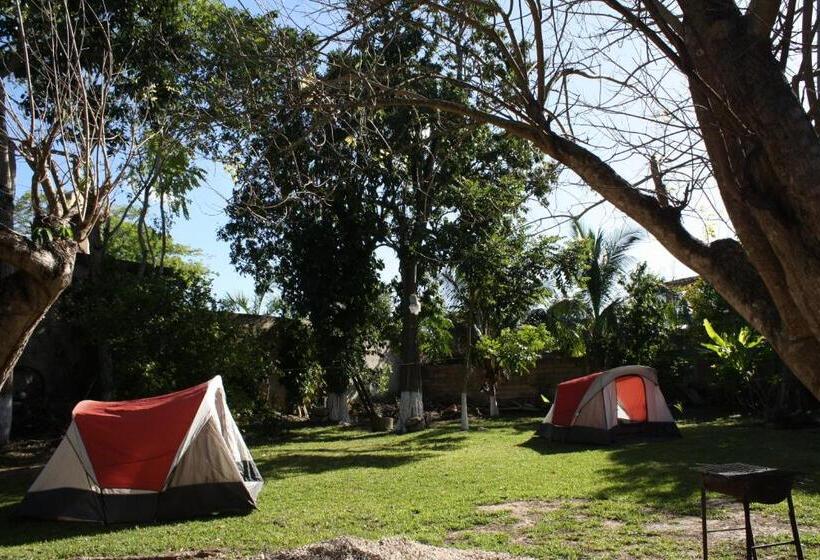 كوخ قياسي, Yaxche Centro Hostal Y Camping