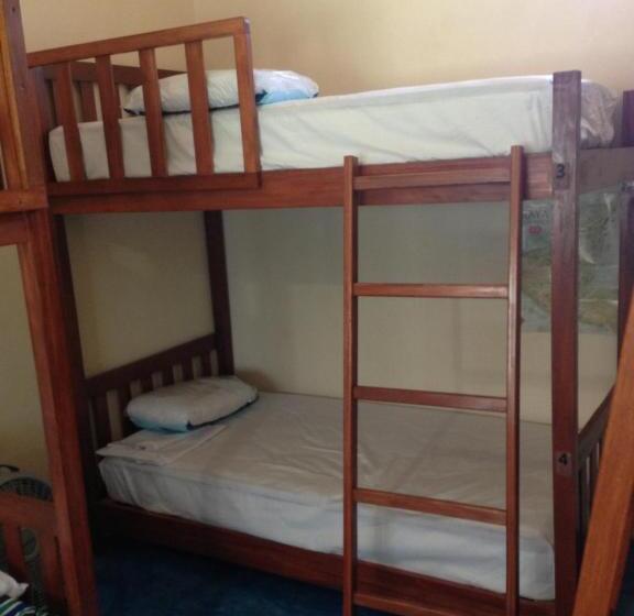 سرير فى غرفة مشتركه, Yaxche Centro Hostal Y Camping