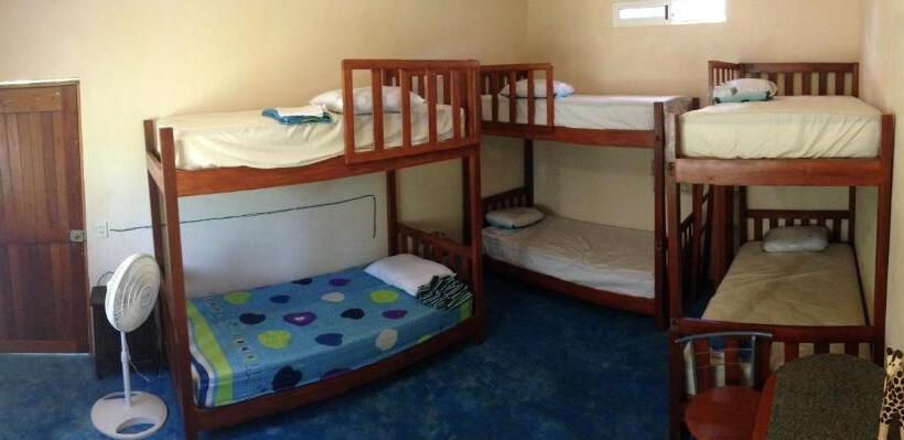 سرير فى غرفة مشتركه, Yaxche Centro Hostal Y Camping