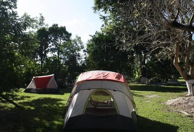 چادر با خدمات رفاهی استاندارد, Yaxche Centro Hostal Y Camping