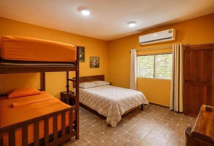 اتاق استاندارد چهار تخته, Yaxche Centro Hostal Y Camping