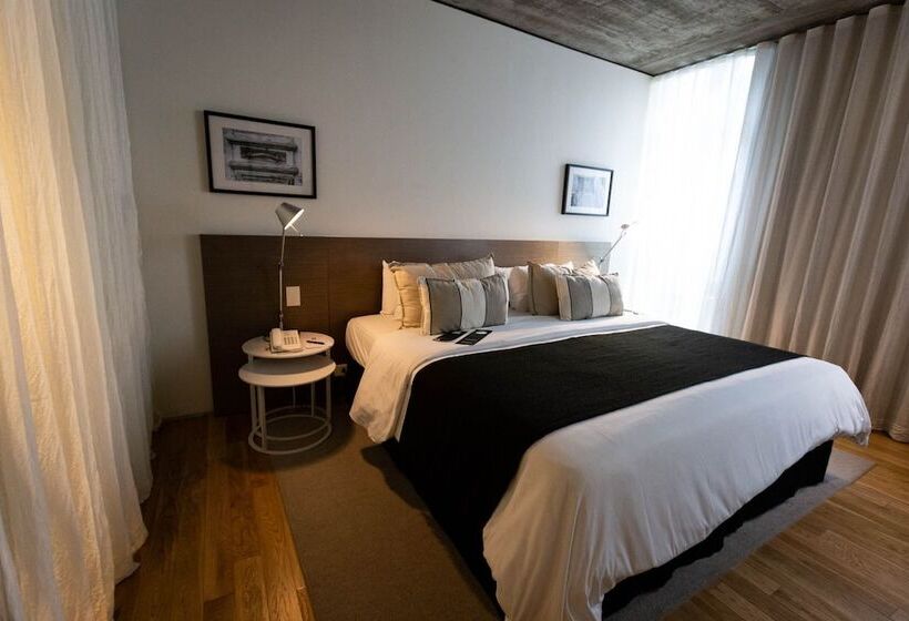 اتاق استاندارد با تخت دوبل, Anselmo Buenos Aires Curio Collection By Hilton