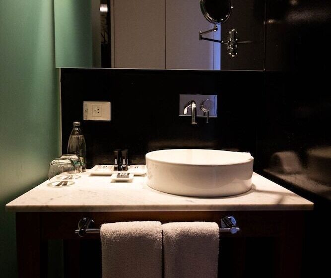 اتاق استاندارد با تخت دوبل, Anselmo Buenos Aires Curio Collection By Hilton