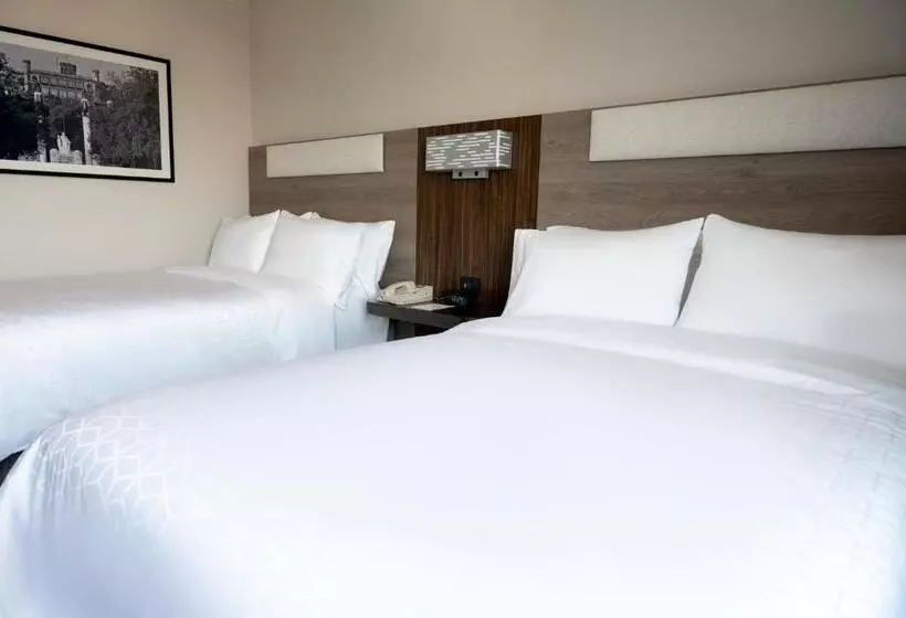 ２ダブルベッドのスタンダードルーム, Holiday Inn Express Mexico City Satelite, An Ihg