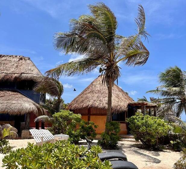 חדר אקונומי, La Conchita Tulum